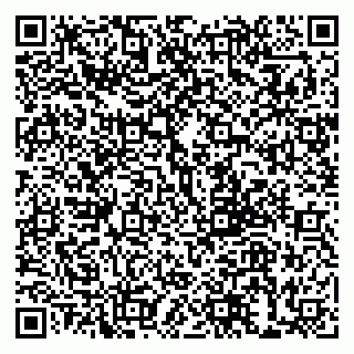 vCard 79999380011
