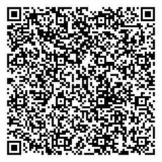 vCard 79999380020
