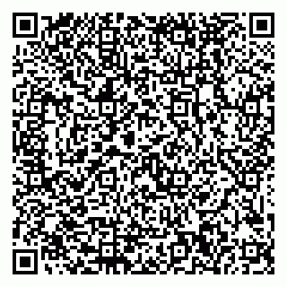 vCard 79999380022