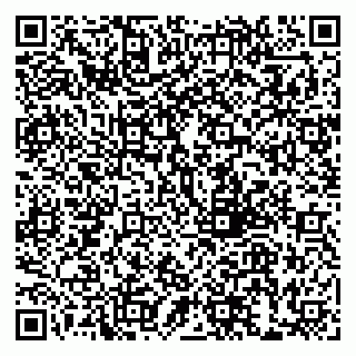 vCard 79999380030