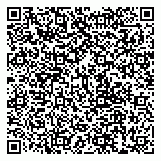vCard 79999380040