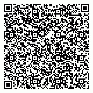 vCard 79999380049