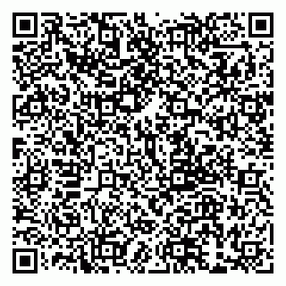 vCard 79999380055