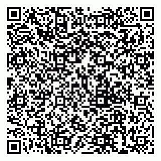 vCard 79999380061