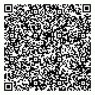 vCard 79999380063