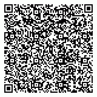 vCard 79999380065