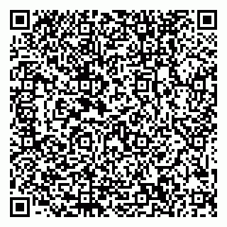 vCard 79999380066