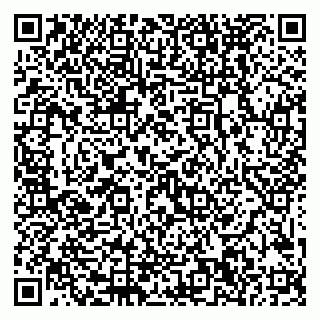 vCard 79999380074