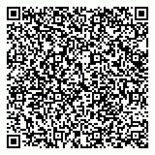 vCard 79999380080