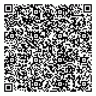 vCard 79999380081