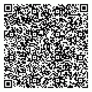 vCard 79999380084