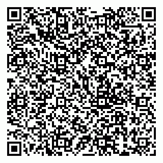 vCard 79999380085
