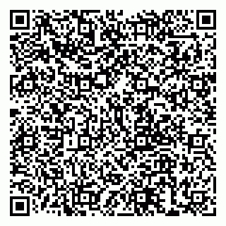 vCard 79999380087