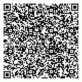 vCard 79999380088