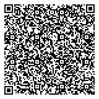 vCard 79999380090