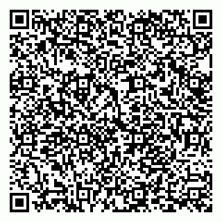 vCard 79999380096