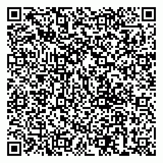 vCard 79999380102