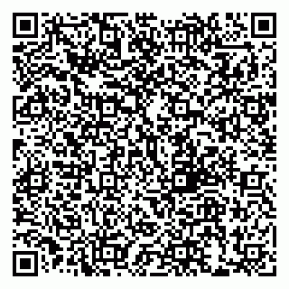vCard 79999380138