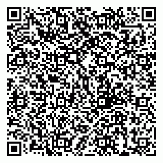 vCard 79999380139