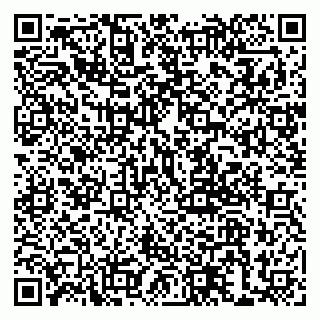 vCard 79999380147