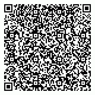 vCard 79999380150