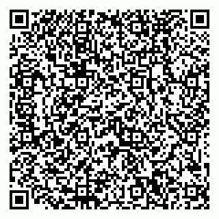 vCard 79999380173