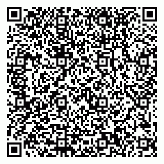 vCard 79999380196
