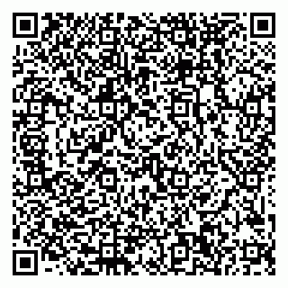 vCard 79999380204