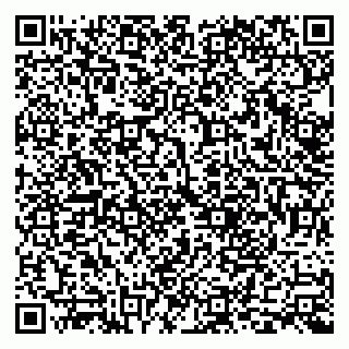 vCard 79999380205