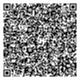 vCard 79999380219