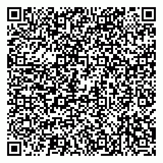 vCard 79999380234