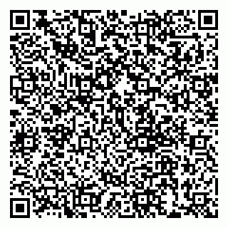 vCard 79999380258