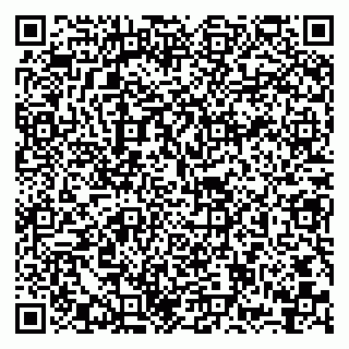 vCard 79999380273