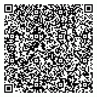 vCard 79999380278