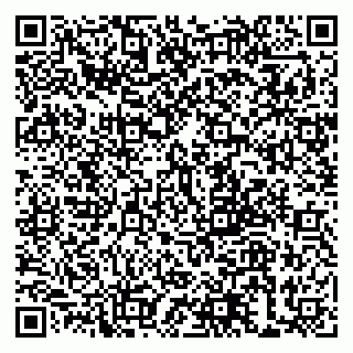 vCard 79999380297