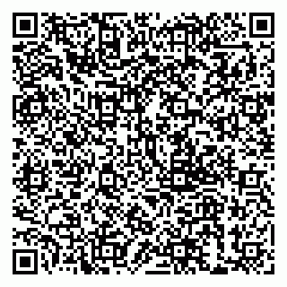 vCard 79999380300