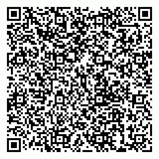 vCard 79999380309