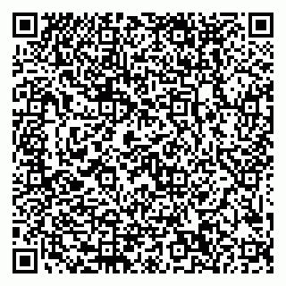 vCard 79999380316