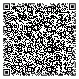 vCard 79999380370