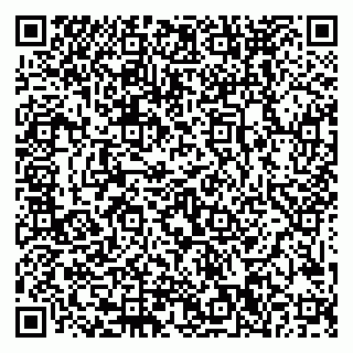 vCard 79999380373