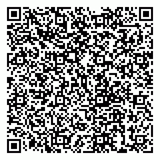 vCard 79999380399