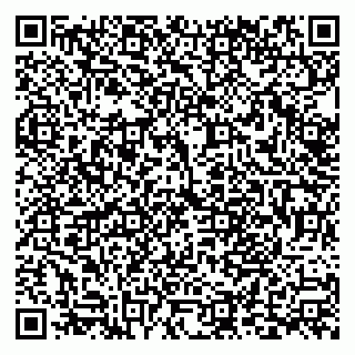 vCard 79999380426