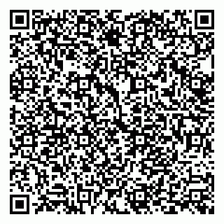 vCard 79999380433