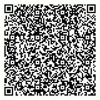vCard 79999380471