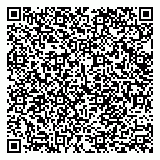 vCard 79999380485