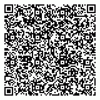 vCard 79999380498