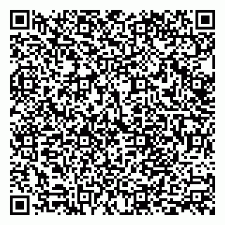 vCard 79999380545