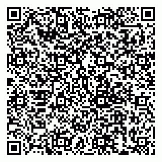 vCard 79999380680