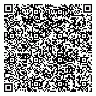 vCard 79999380701