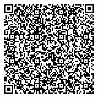 vCard 79999380703